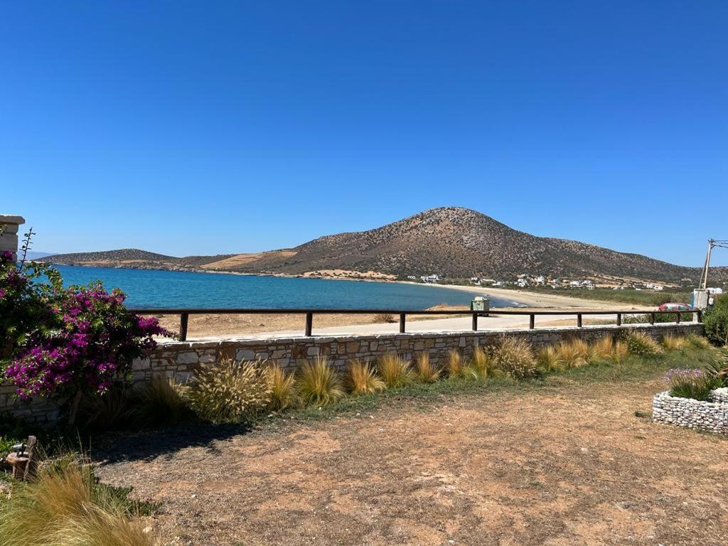 Ammoudia Studios Agiassos Esterno foto